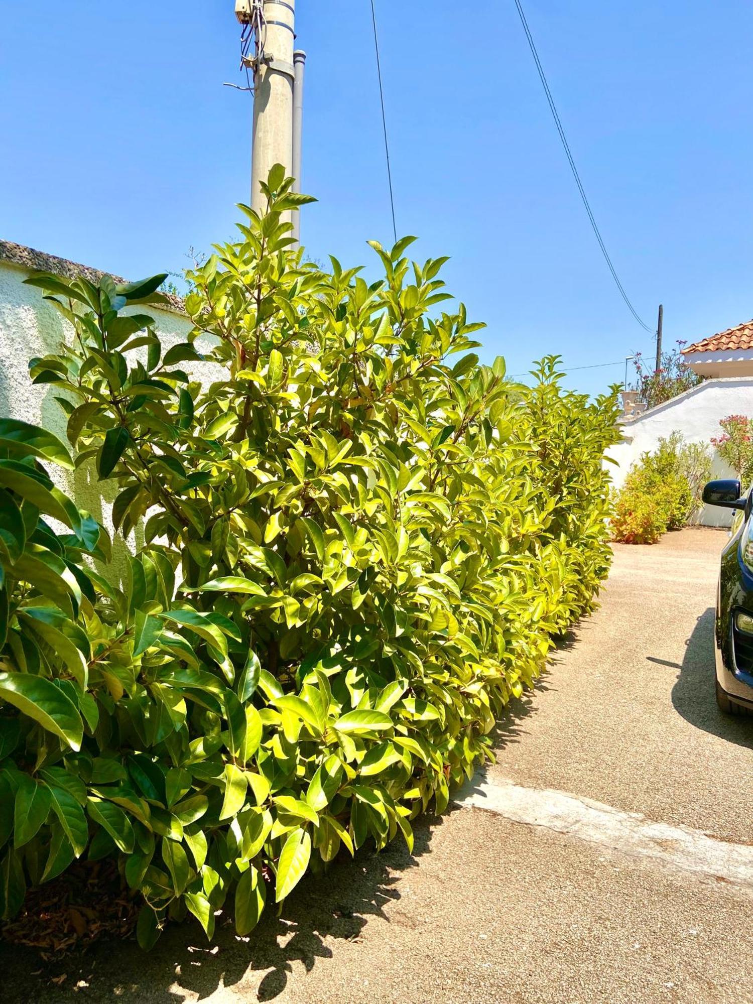 B&B Costa Azzurra Porto Cesareo Buitenkant foto